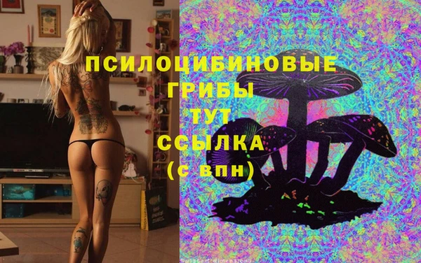 сатива Алзамай