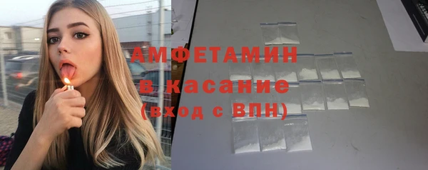 сатива Алзамай