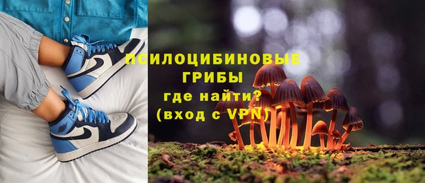 прущие грибы Алексеевка