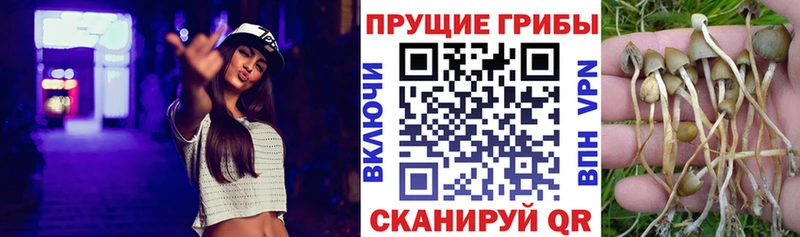 Галлюциногенные грибы мицелий  Липки 